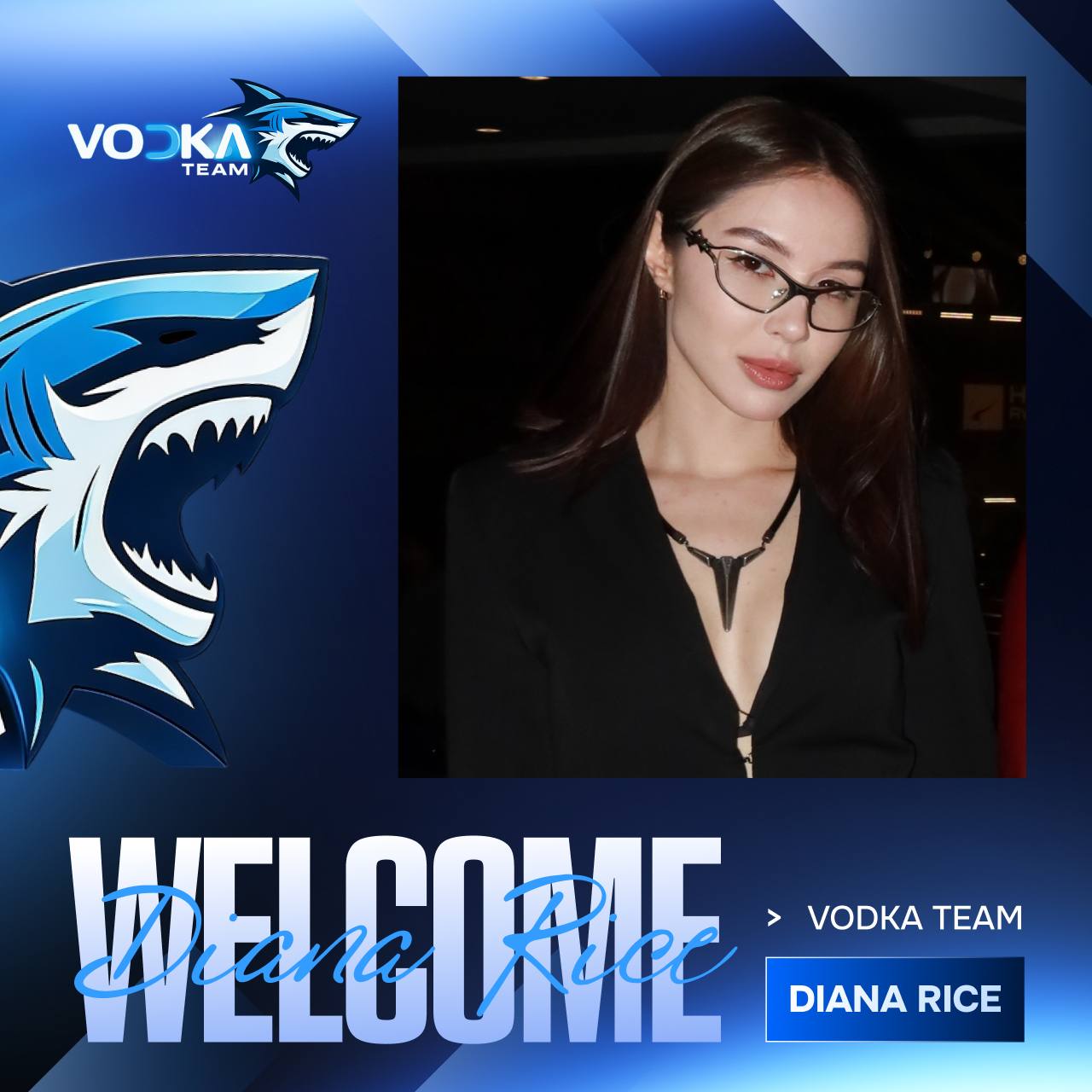 Приветственный баннер Vodka Team для DIANARICE